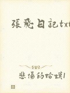 张飞日记txt