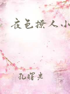夜色撩人小说