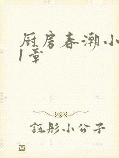 厨房春潮小说第1章