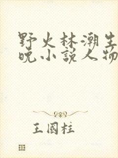 野火林潮生林晚晚小说人物野火