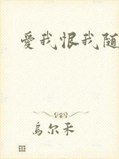 爱我恨我随便你