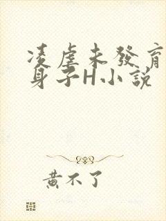 凌虐未发育的小身子H小说