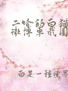 二哈的白猫师尊微博车截图