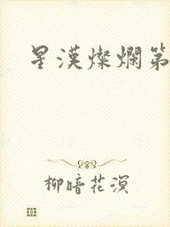 星汉灿烂第二部