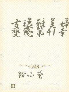 方逸雅美妇厨房双飞第41章