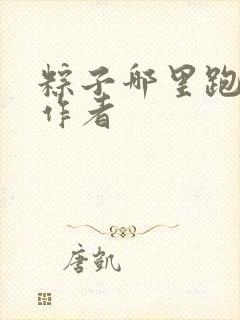 粽子哪里跑小说作者