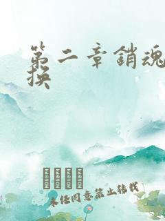 第二章销魂的交换