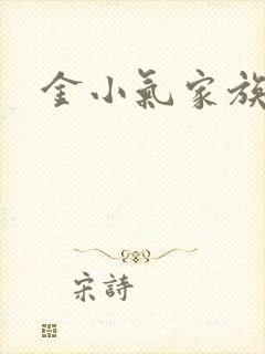 金小气家族小说