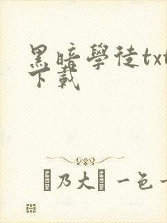 黑暗学徒txt下载