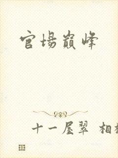 官场巅峰