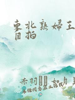 东北熟妇王梅娟自拍