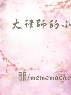 大律师的小老婆