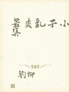 最爽乱子小说合集