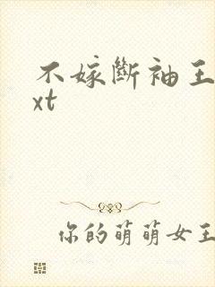 不嫁断袖王爷txt