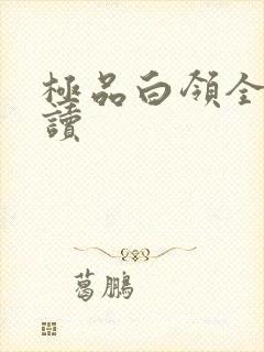 极品白领全文阅读