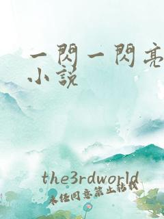 一闪一闪亮晶晶小说