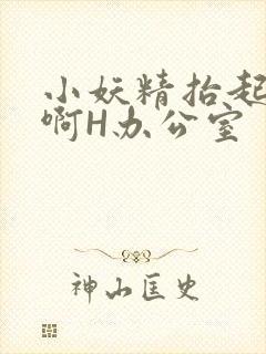 小妖精抬起臀嗯啊H办公室