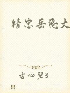 精忠岳飞大结局