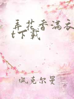弄花香满衣txt下载