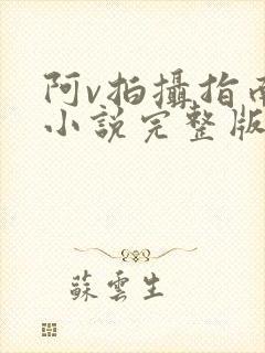 阿v拍摄指南说小说完整版