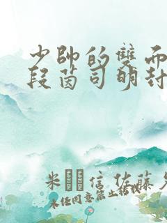 少帅的双面宠妻段茵司明封免费