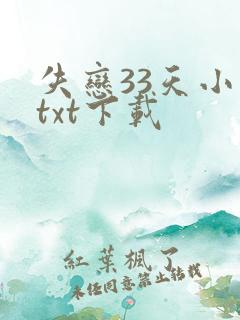 失恋33天小说txt下载