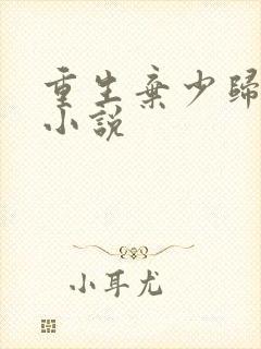 重生弃少归来 小说