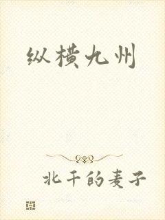 纵横九州