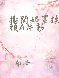 撕开奶罩揉吮奶头A片动