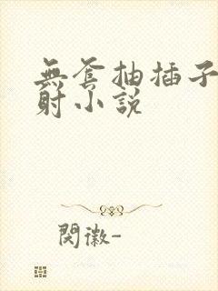 无套抽插子宫内射小说