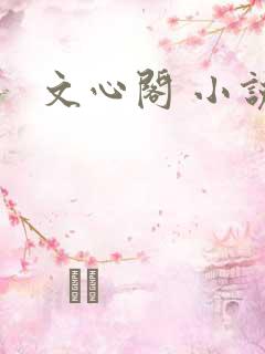 文心阁 小说