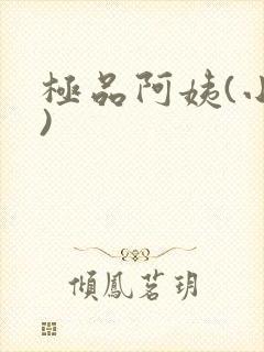 极品阿姨(小说)