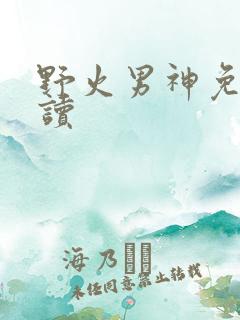 野火男神免费阅读