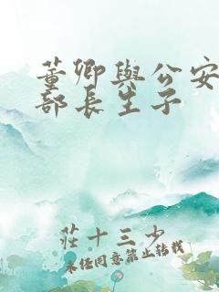 董卿与公安部副部长生子