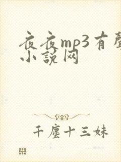 夜夜mp3有声小说网