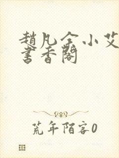 赵凡余小艾白毅书香阁