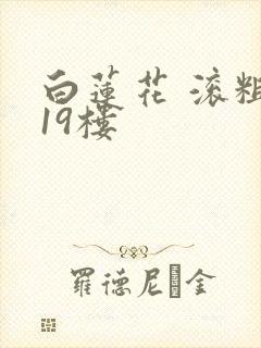 白莲花 滚粗 19楼