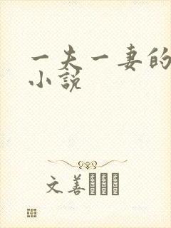 一夫一妻的玄幻小说