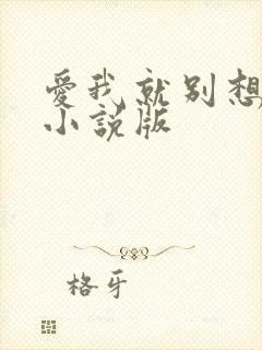爱我就别想太多小说版