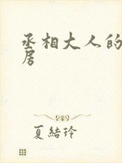 丞相大人的小通房