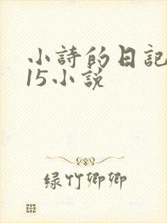小诗的日记1一15小说