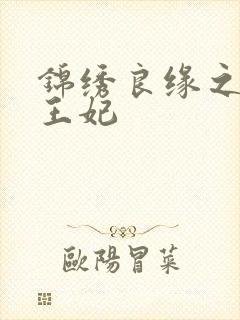 锦绣良缘之北地王妃