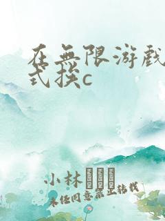 在无限游戏里花式挨c