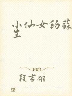 小仙女的苏撩先生