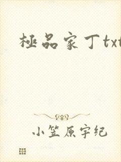 极品家丁txt