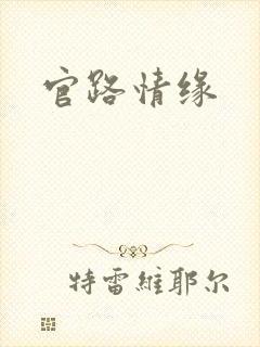官路情缘