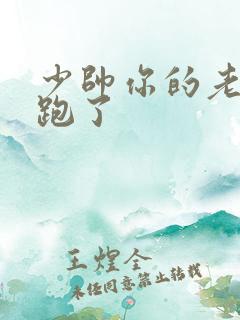 少帅你的老婆又跑了