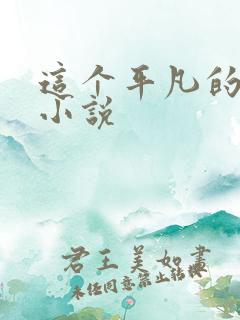 这个平凡的男子小说