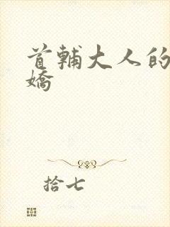 首辅大人的掌心娇