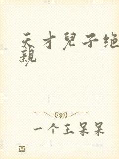 天才儿子绝色娘亲